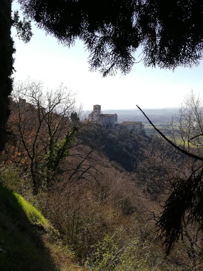 Hotel Villa Elda Assisi Kültér fotó